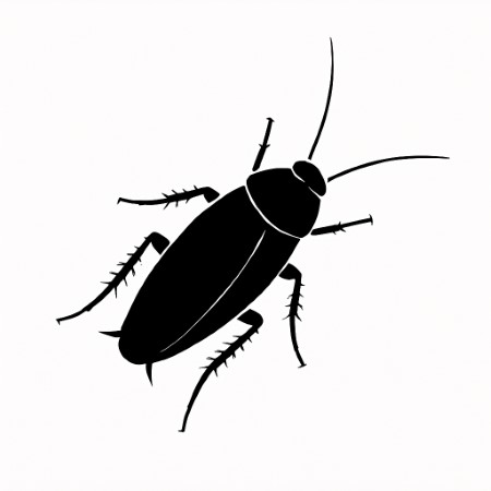 cockroaches pest control san diego