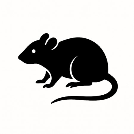 rodents pest control san diego