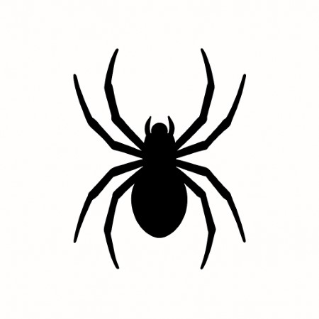 spiders pest control san diego