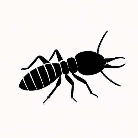 termites pest control san diego